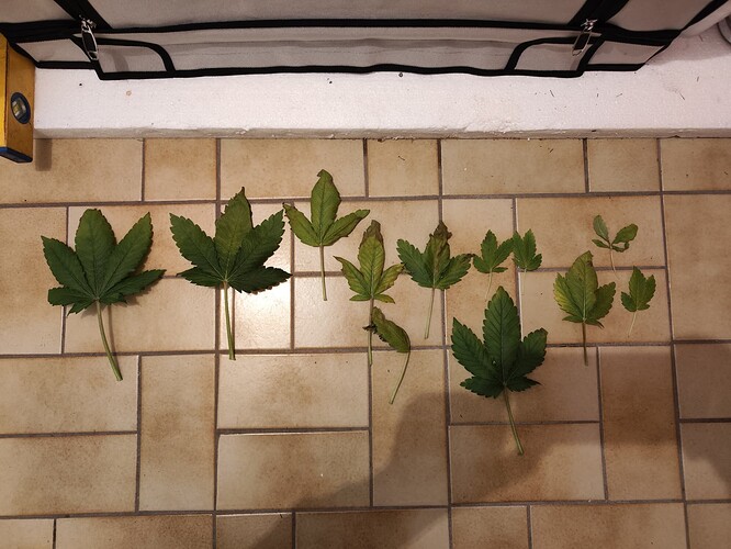 Growreport Bild 10