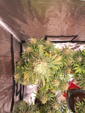 Growreport Bild 22