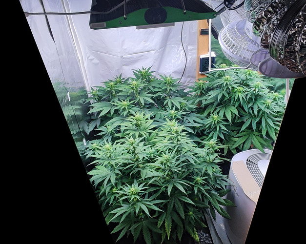 Growreport Bild 1