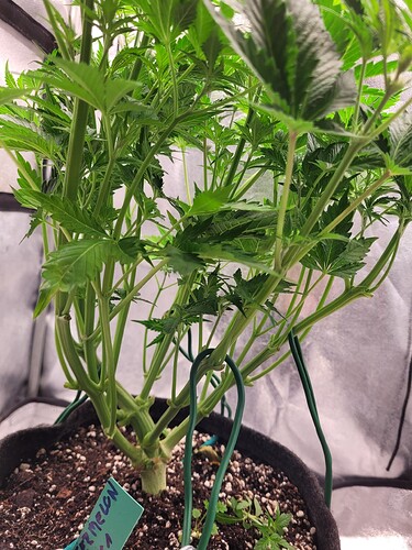 Growreport Bild 23