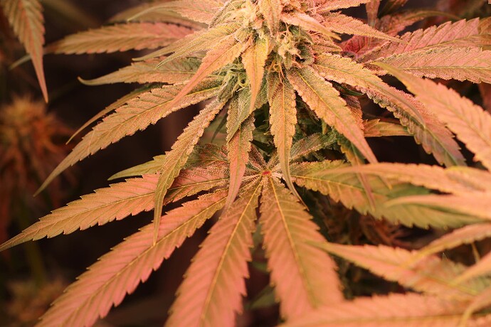 Growreport Bild 11