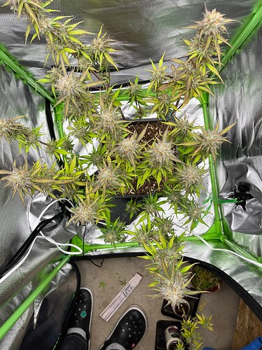 Growreport Bild 17