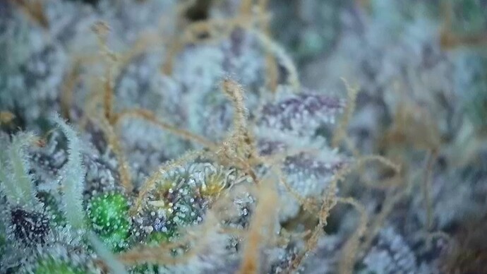 2022-06-25-031904844