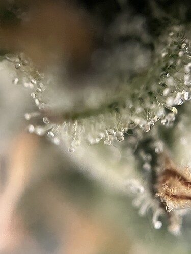 Growreport Bild 48