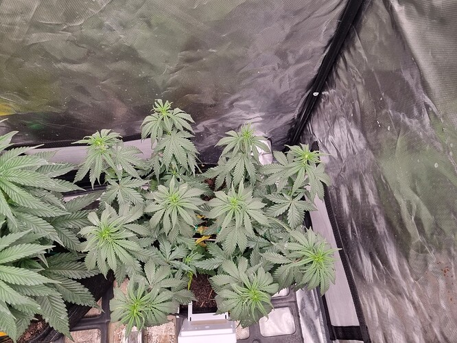 Growreport Bild 50