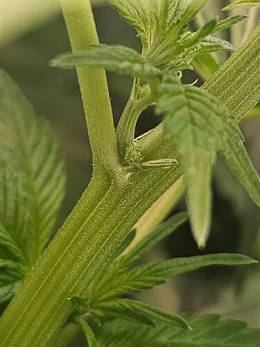 Growreport Bild 9