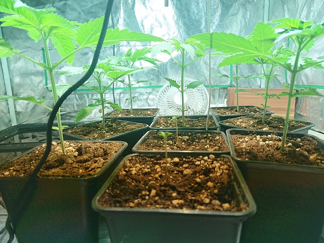 Growreport Bild 21