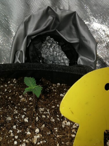 Growreport Bild 108