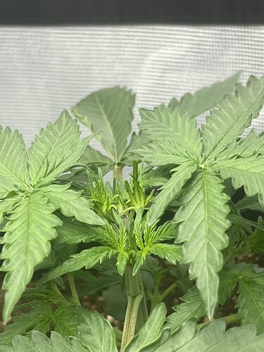 Growreport Bild 16