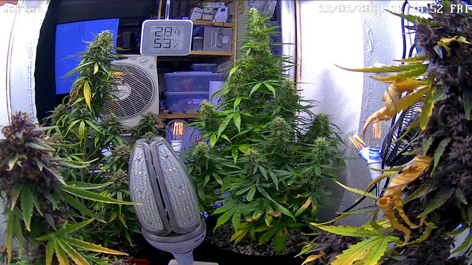 Growreport Bild 2
