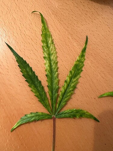 Growreport Bild 13