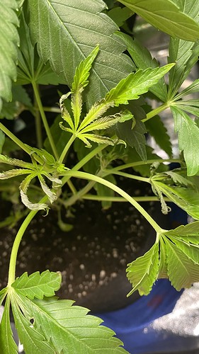 Growreport Bild 5