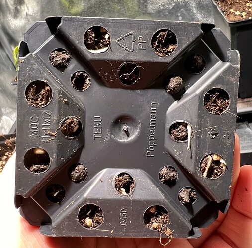 Growreport Bild 10
