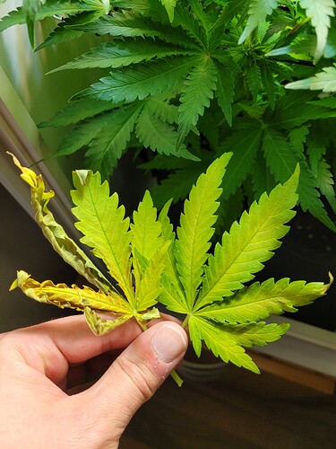 Growreport Bild 8