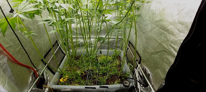 Growreport Bild 1