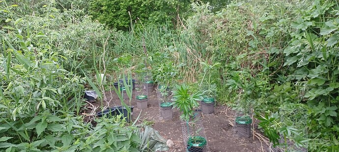 Growreport Bild 8