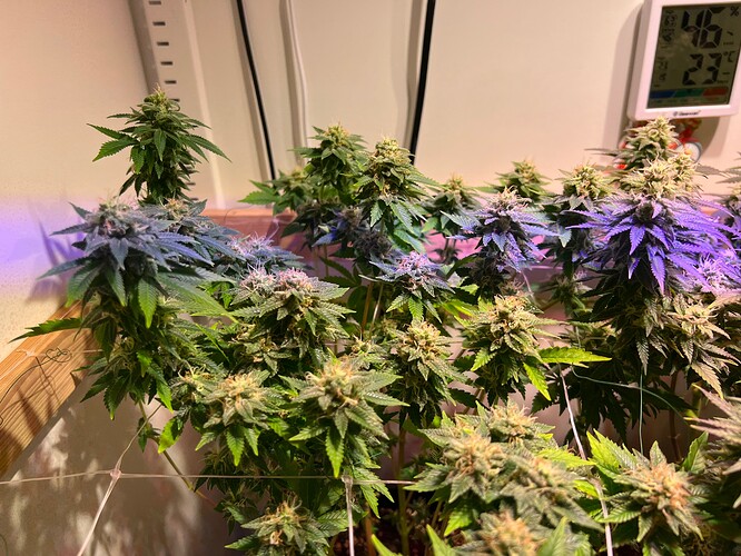 Growreport Bild 10