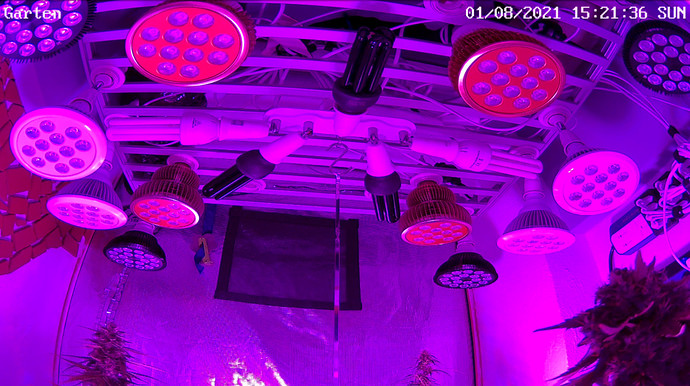 Growreport Bild 15