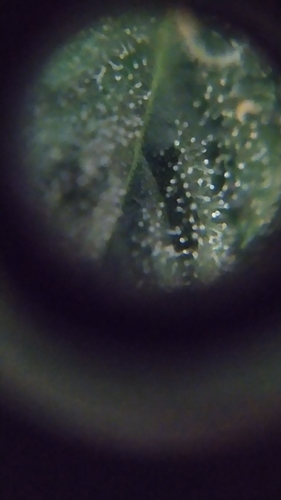 IMG_20200820_230216_6