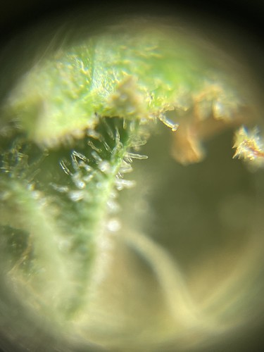 Growreport Bild 25