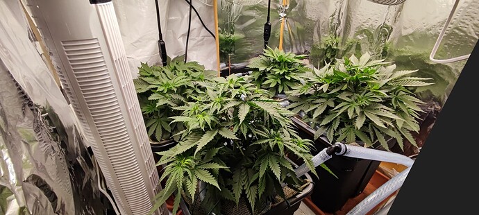 Growreport Bild 6