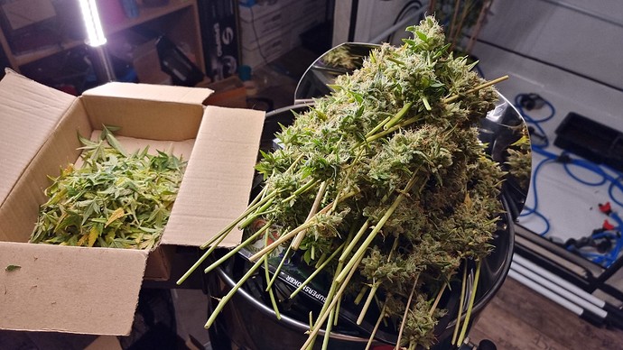 Growreport Bild 15