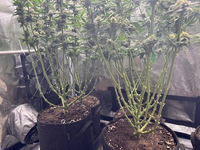 Growreport Bild 11