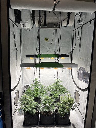 Growreport Bild 12