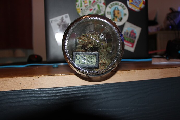 Growreport Bild 7
