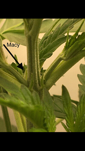 Growreport Bild 8