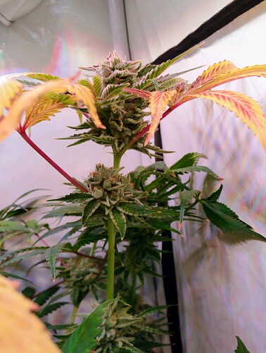 Growreport Bild 10