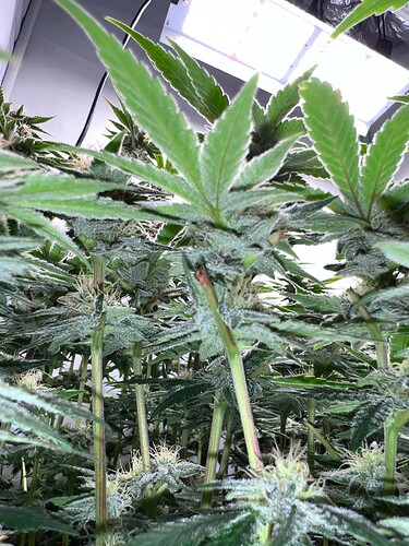 Growreport Bild 15
