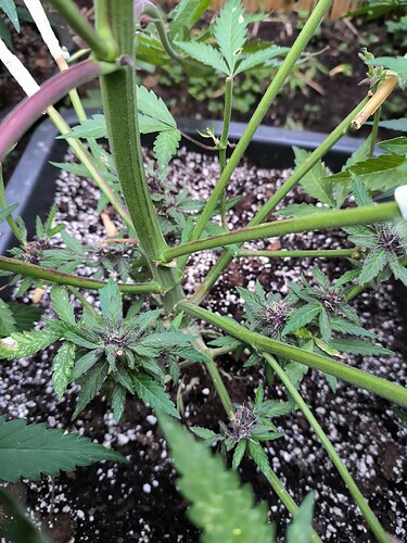 Growreport Bild 11