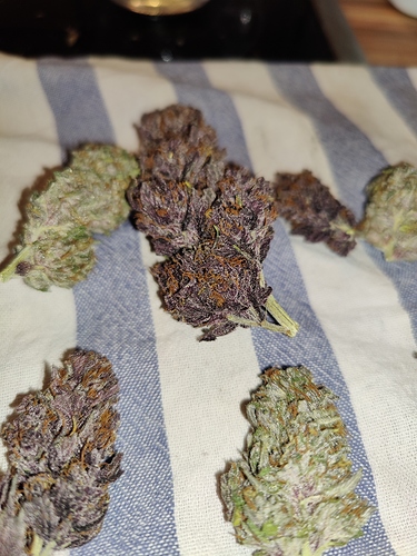 Growreport Bild 36