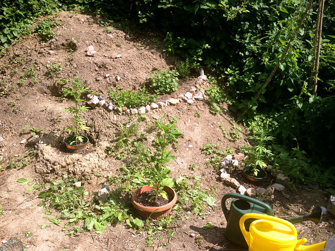 Growreport Bild 7