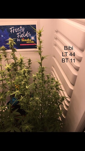 Growreport Bild 18