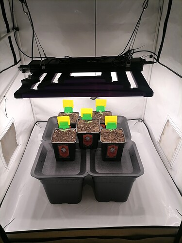 Growreport Bild 49