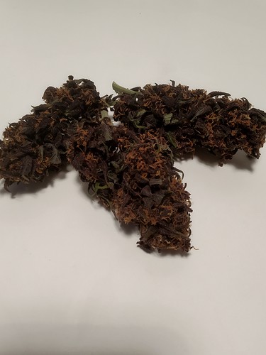 Growreport Bild 9