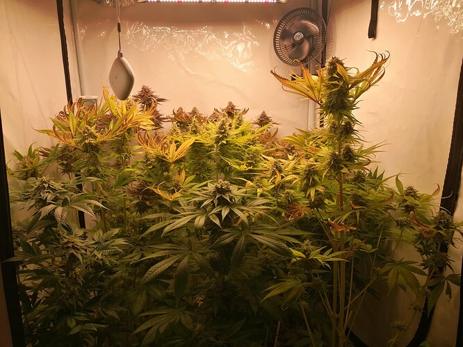 Growreport Bild 1