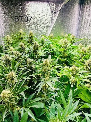Growreport Bild 5