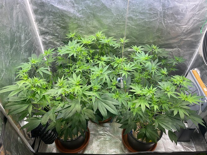 Growreport Bild 2