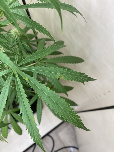 Growreport Bild 2