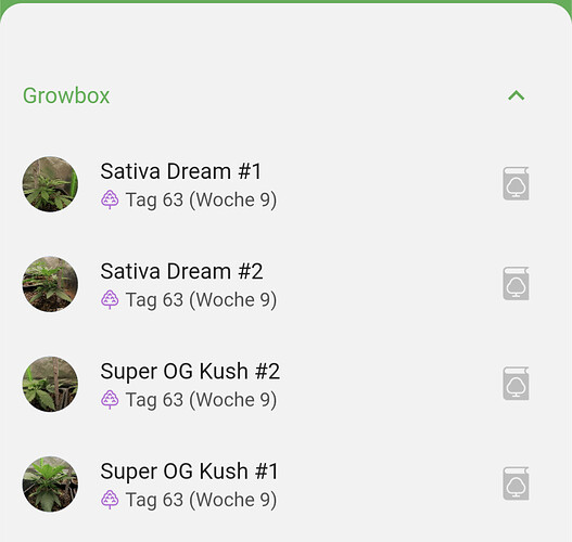 Growreport Bild 11