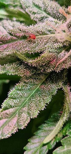 Growreport Bild 8