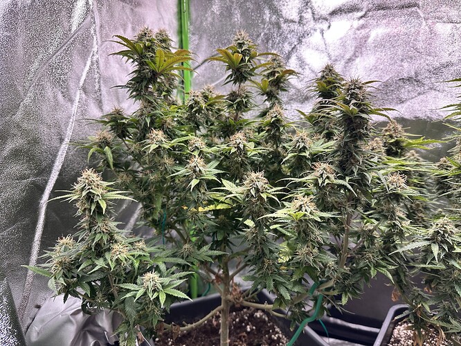 Growreport Bild 10