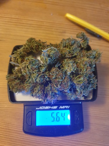 Growreport Bild 9