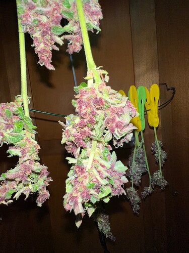 Growreport Bild 16
