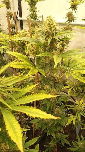 Growreport Bild 22