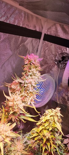 Growreport Bild 20