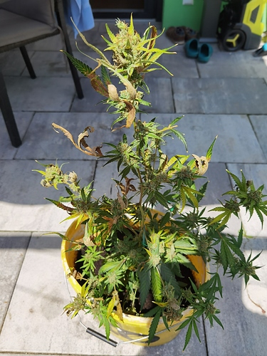 Growreport Bild 4